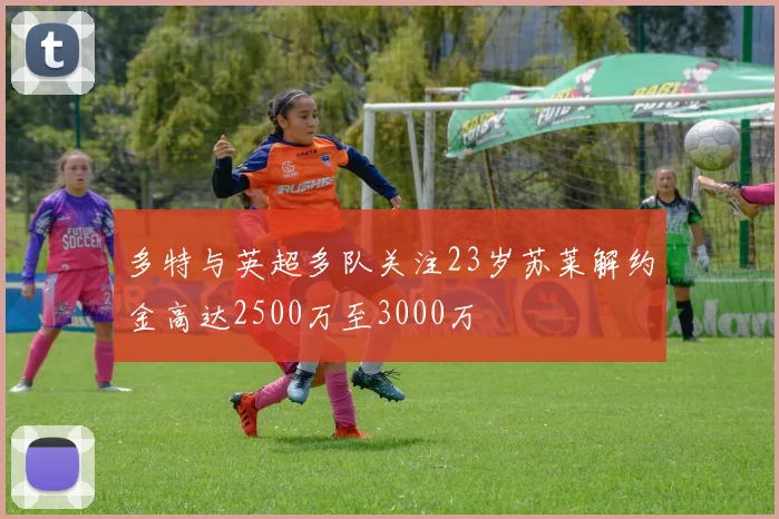 多特与英超多队关注23岁苏莱解约金高达2500万至3000万