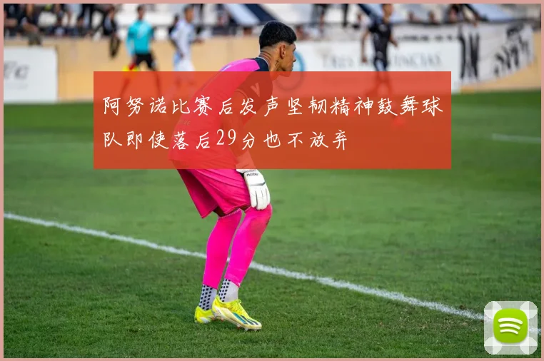 阿努诺比赛后发声坚韧精神鼓舞球队即使落后29分也不放弃